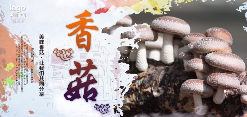 香菇宣传展板海报