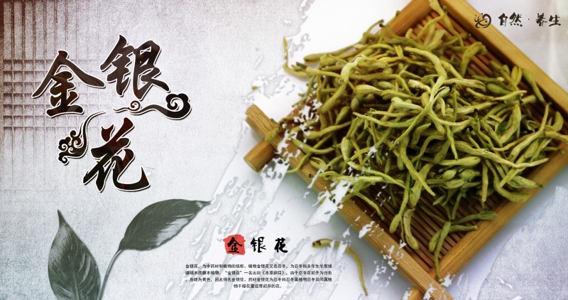 金银花茶展板海报