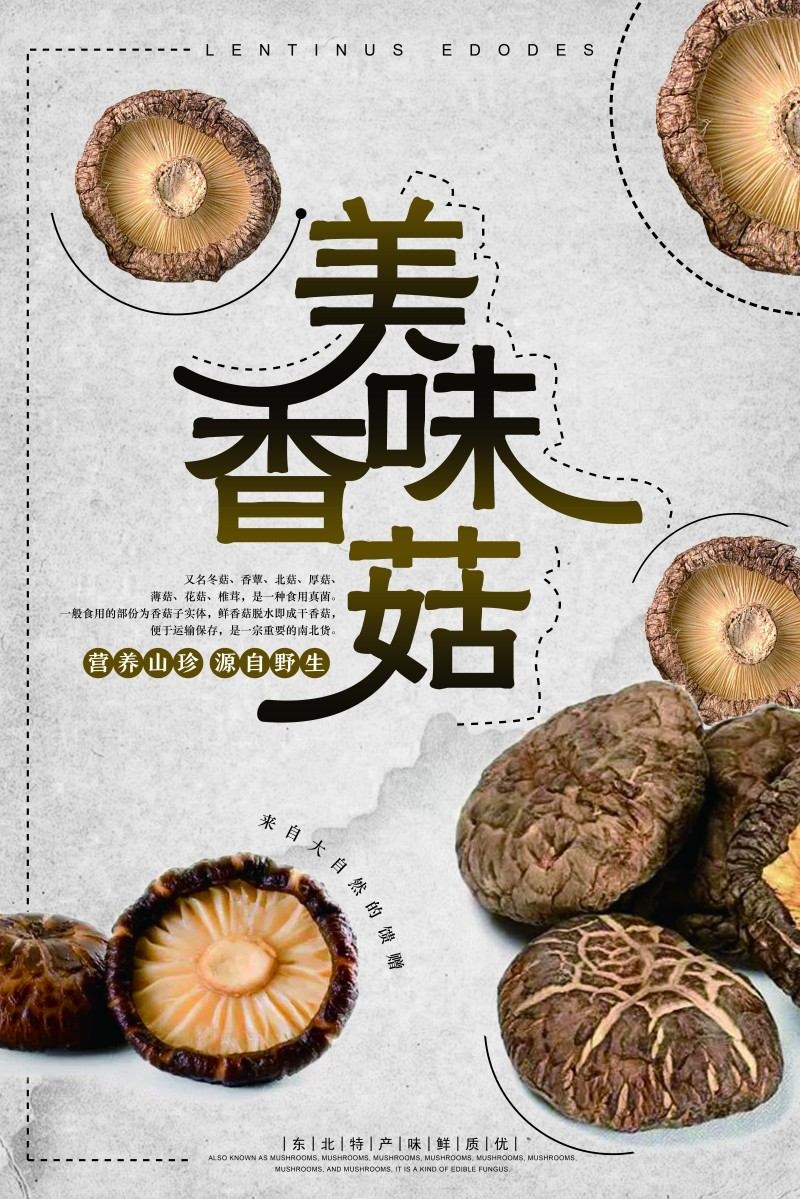香菇宣传展板海报
