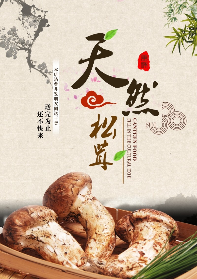 餐饮美食松茸海报 (2)