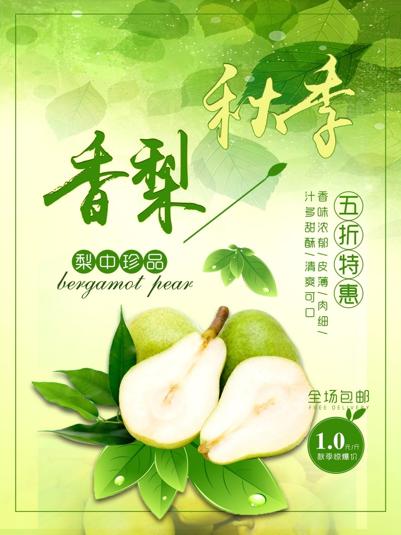 香梨宣传海报