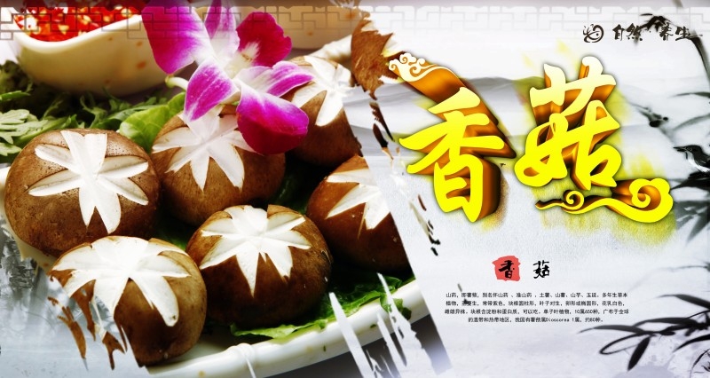 香菇宣传展板海报 (8)