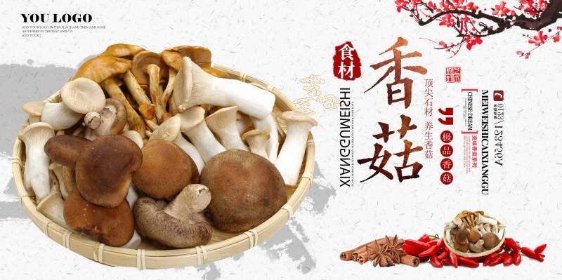 香菇宣传展板海报