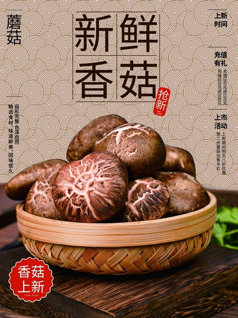 香菇宣传展板海报