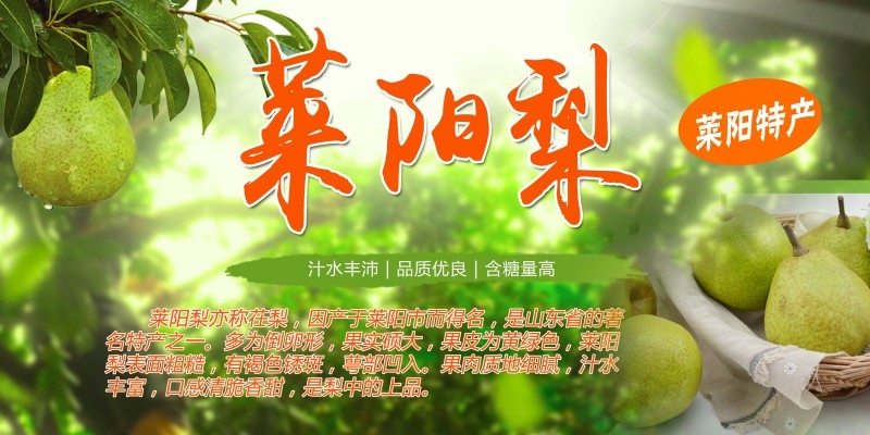 莱阳梨宣传海报
