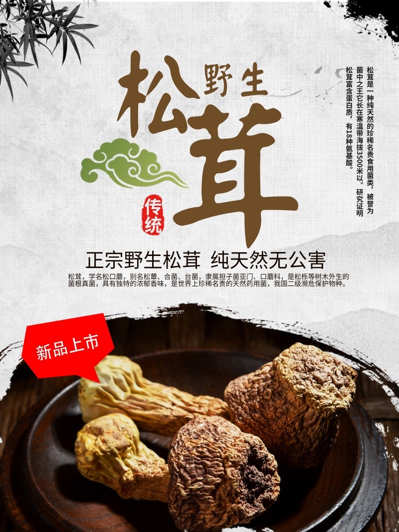 餐饮美食松茸海报