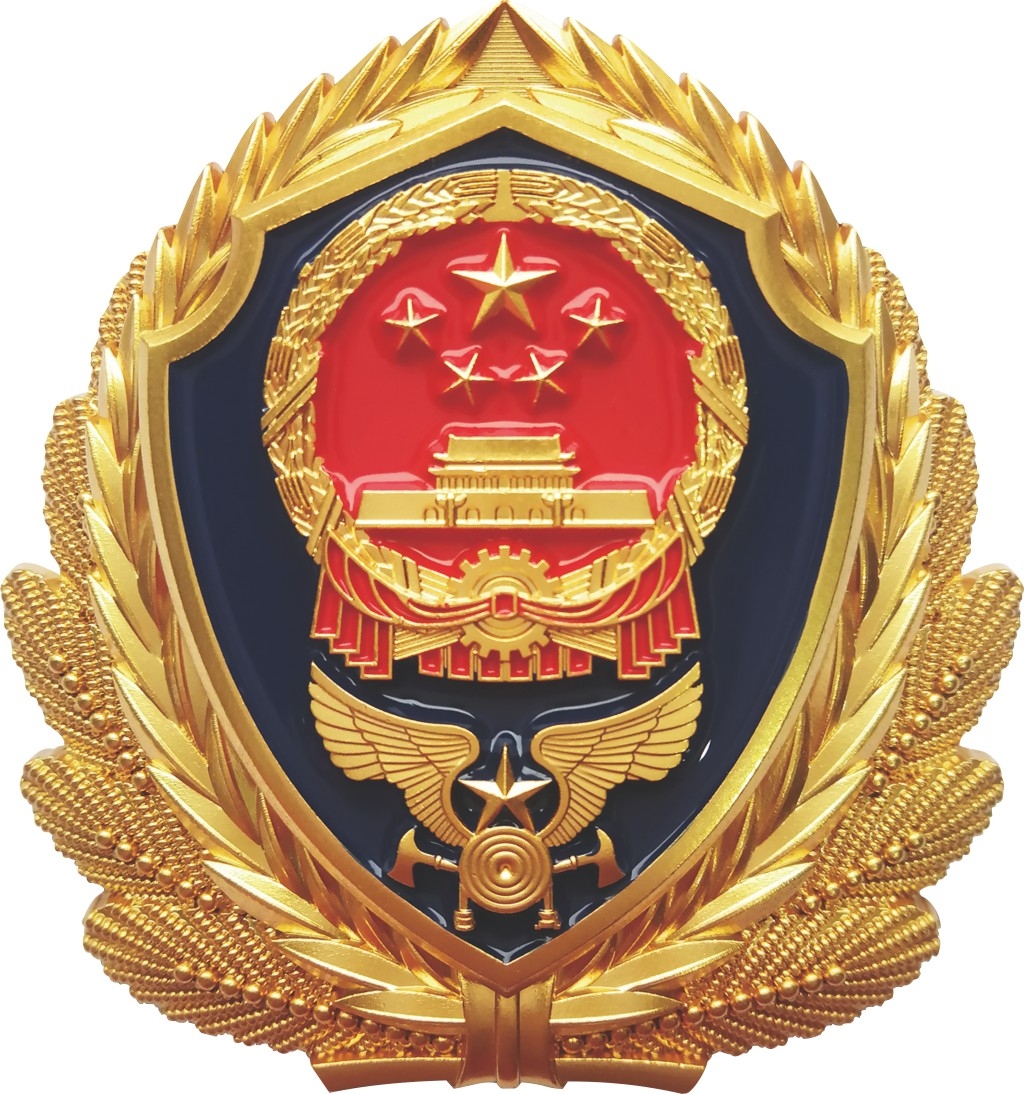 中国消防救援队伍的队徽徽章徽标标识