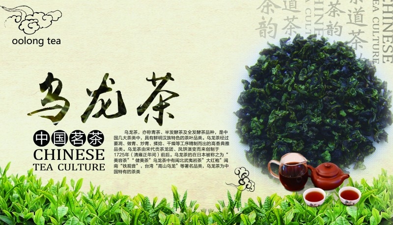 餐饮美食乌龙茶海报