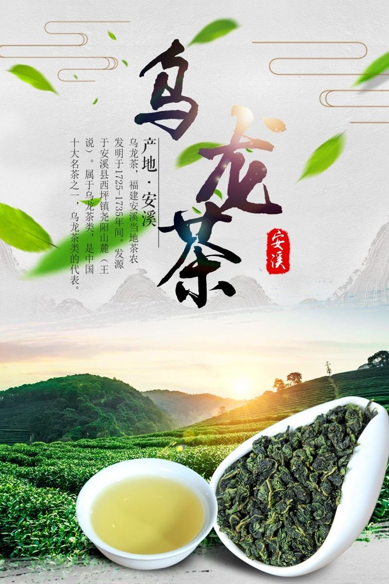 餐饮美食乌龙茶海报 (16)