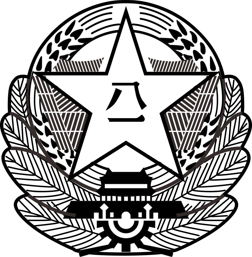 空军军徽（B式）黑白徽章徽标标识