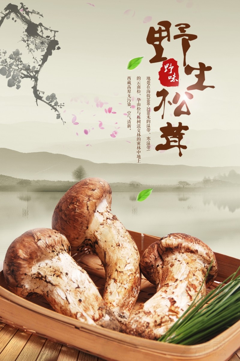 野生松茸宣传海报
