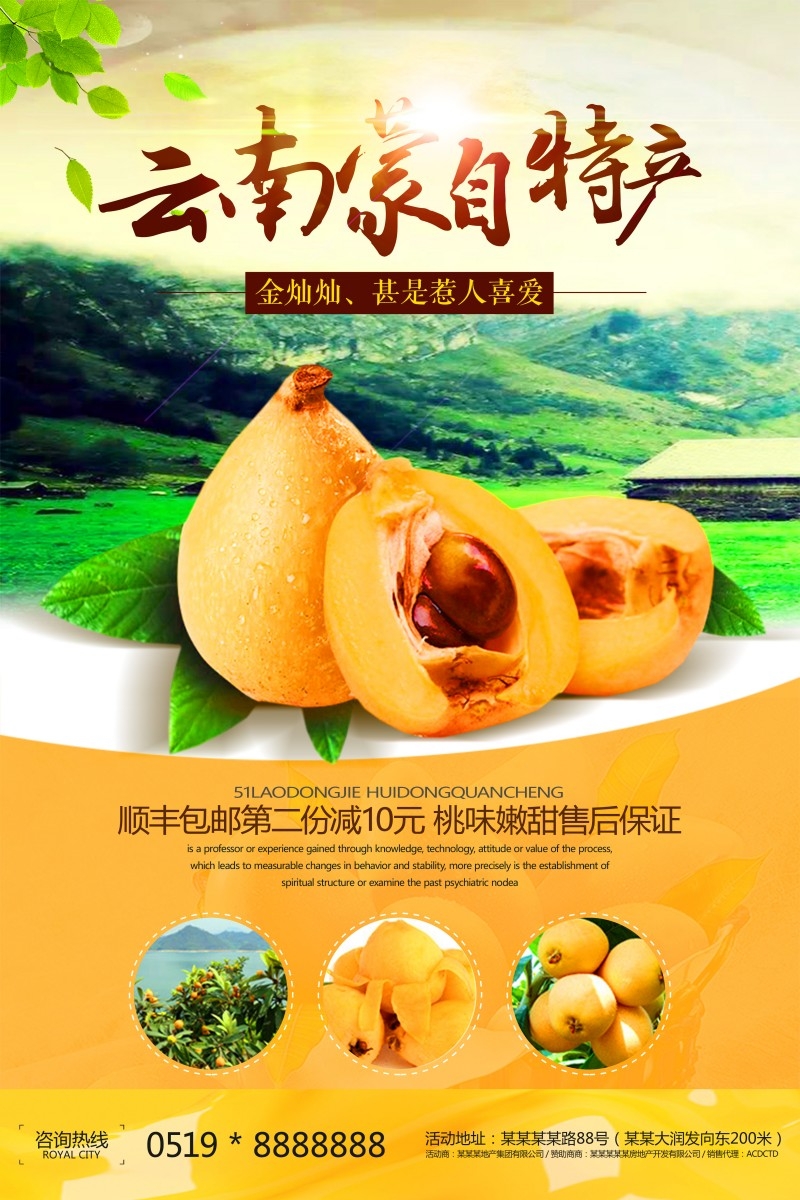 精品土特产琵琶海报