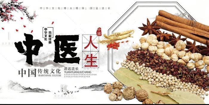 中医养生文化展板海报