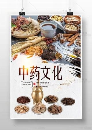 中医药养生文化海报