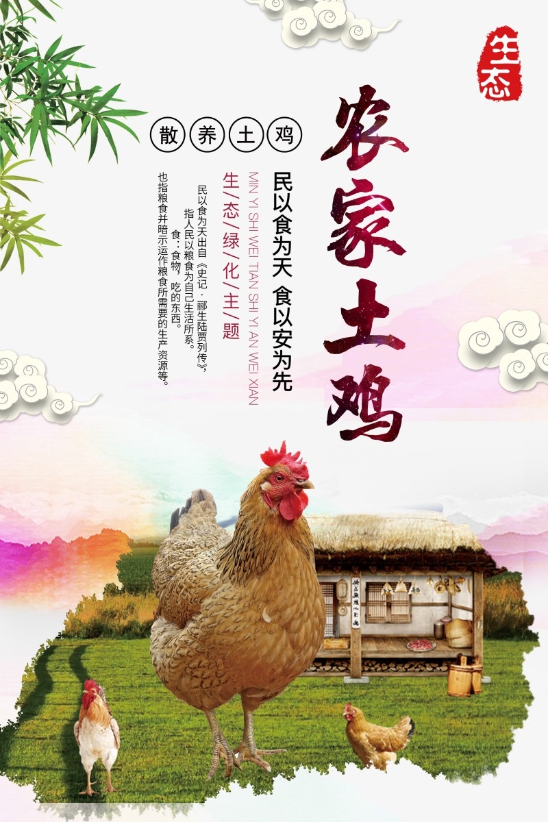 农家土鸡宣传海报 (3)