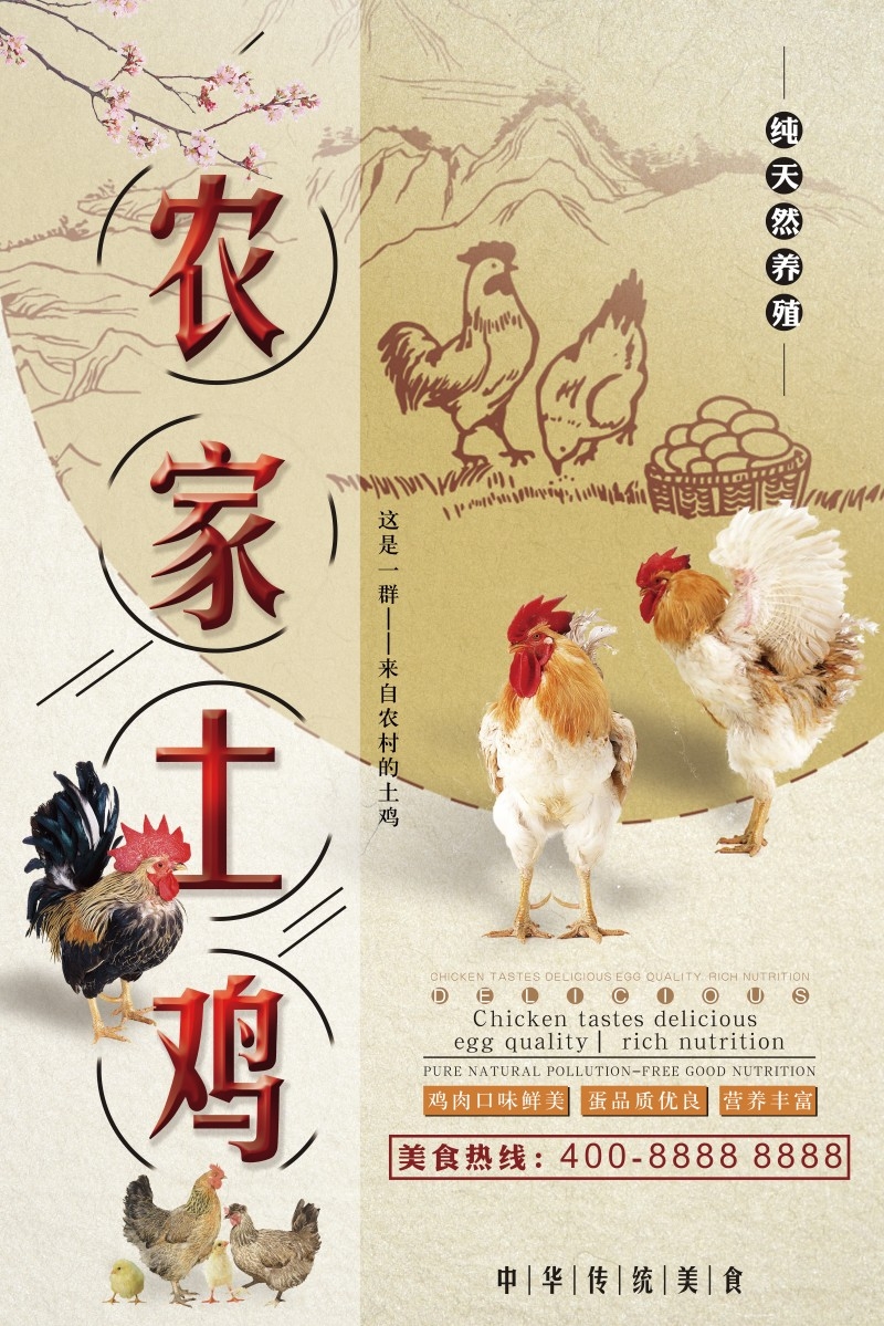 农家土鸡特产宣传海报
