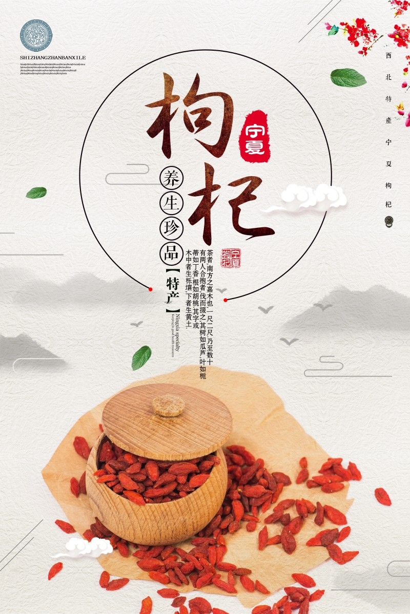 宁夏枸杞宣传海报