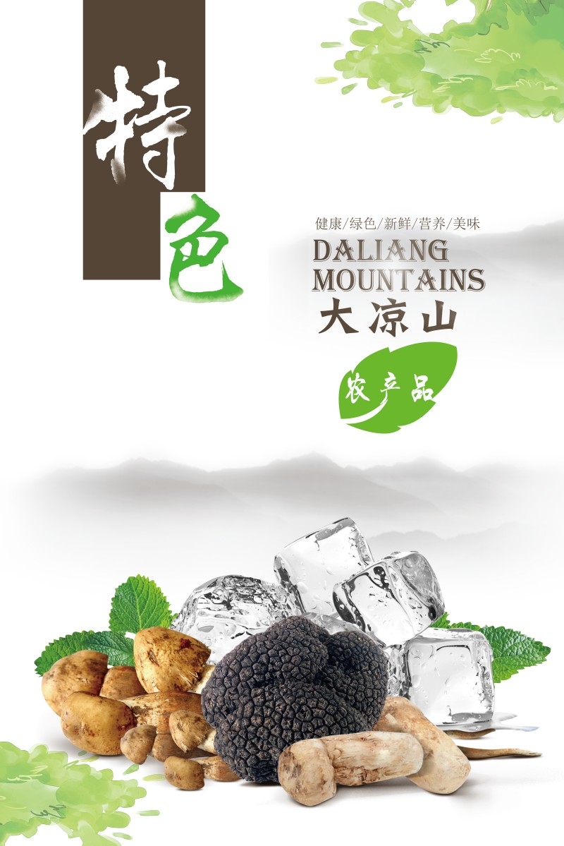 土特产促销宣传海报 (1)