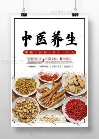 中医养生中药文化养生海报
