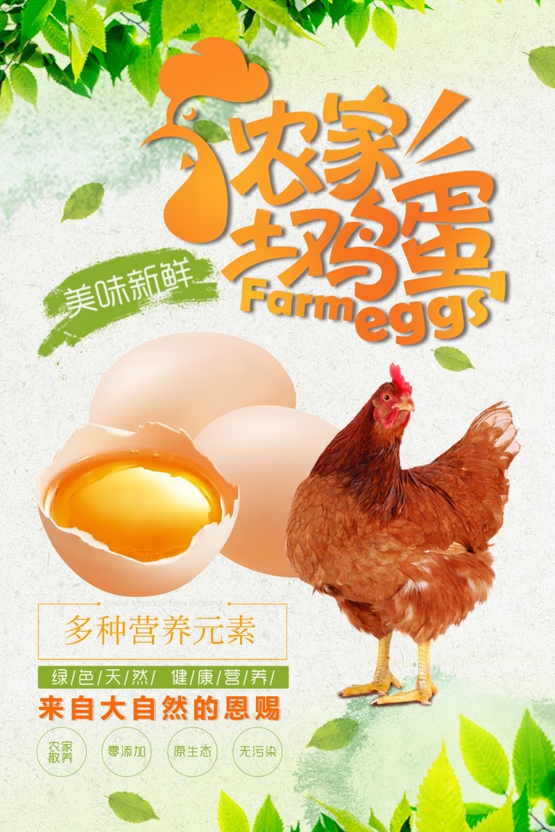 农家土鸡蛋精品宣传海报
