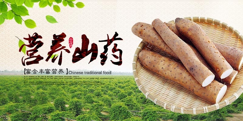 农家土特产营养山药展板灯箱海报