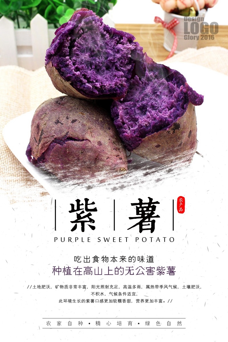 精品土特产紫薯海报