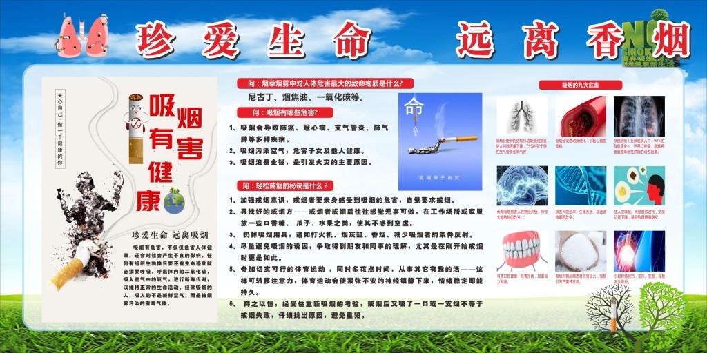 禁止吸烟珍爱生命远离香烟宣传栏展板
