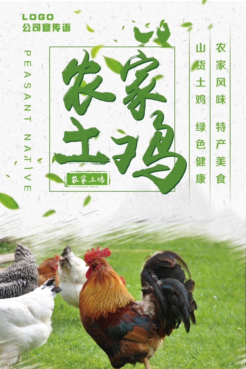 农家土鸡宣传海报