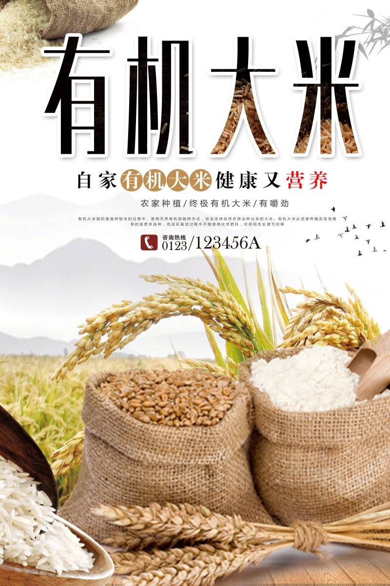 天然有机大米宣传海报