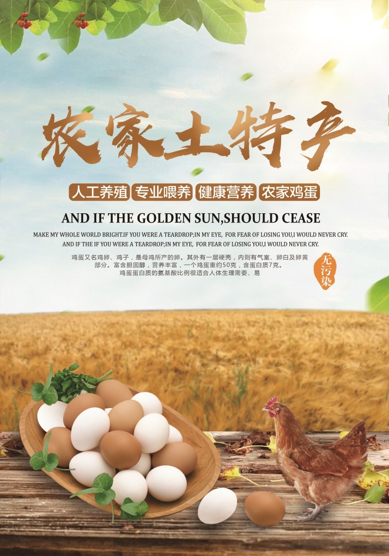 农家土鸡蛋宣传海报