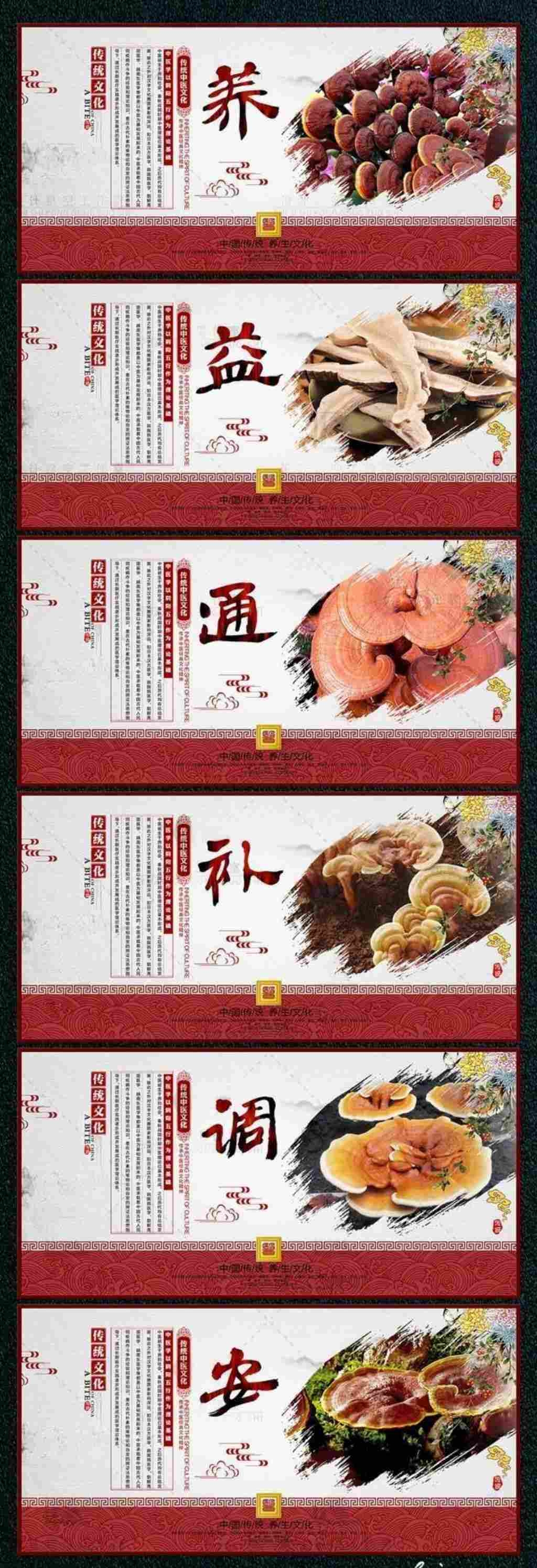 国风中医养生方法海报展板养益通补调安