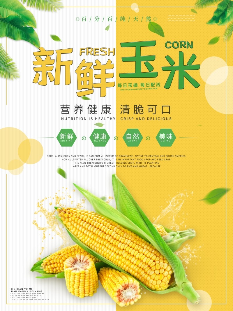 新鲜玉米包谷宣传促销海报