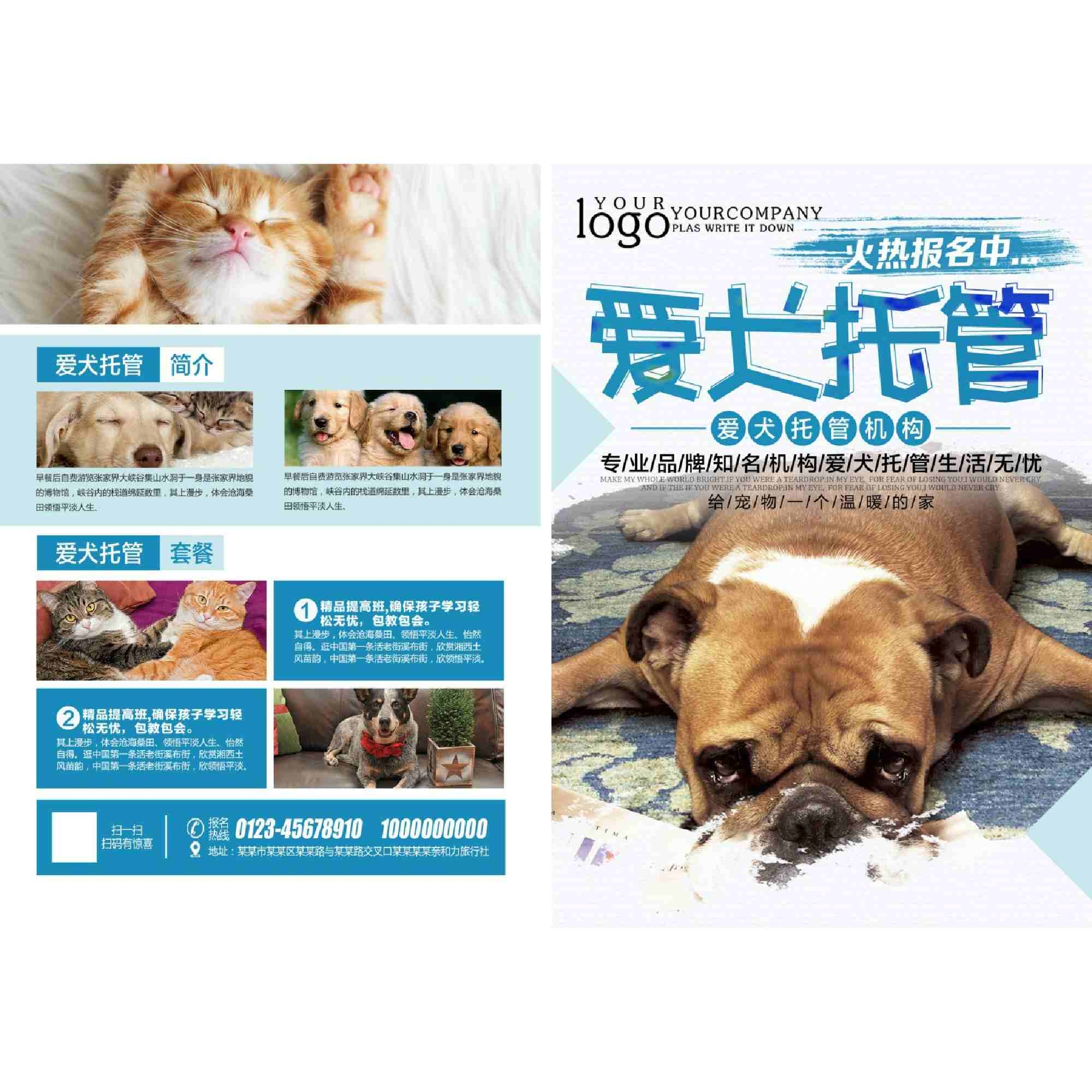 爱犬托管DM宣传单页