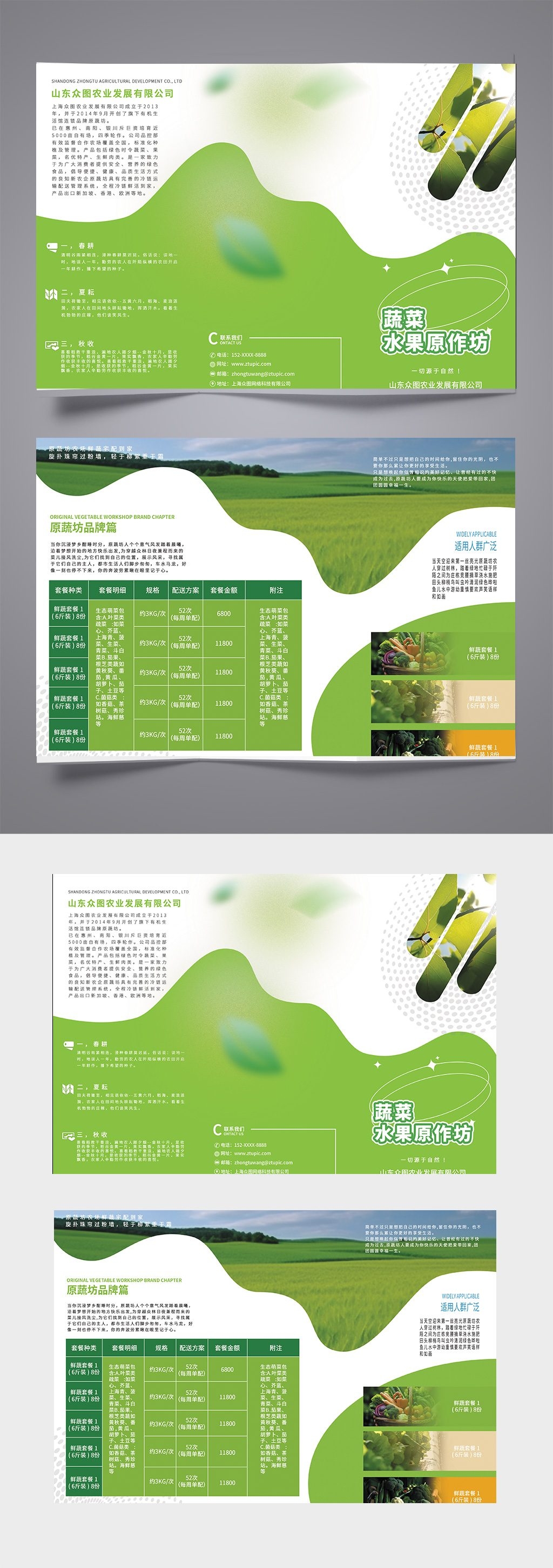 蔬菜水果原农产品宣传三折页