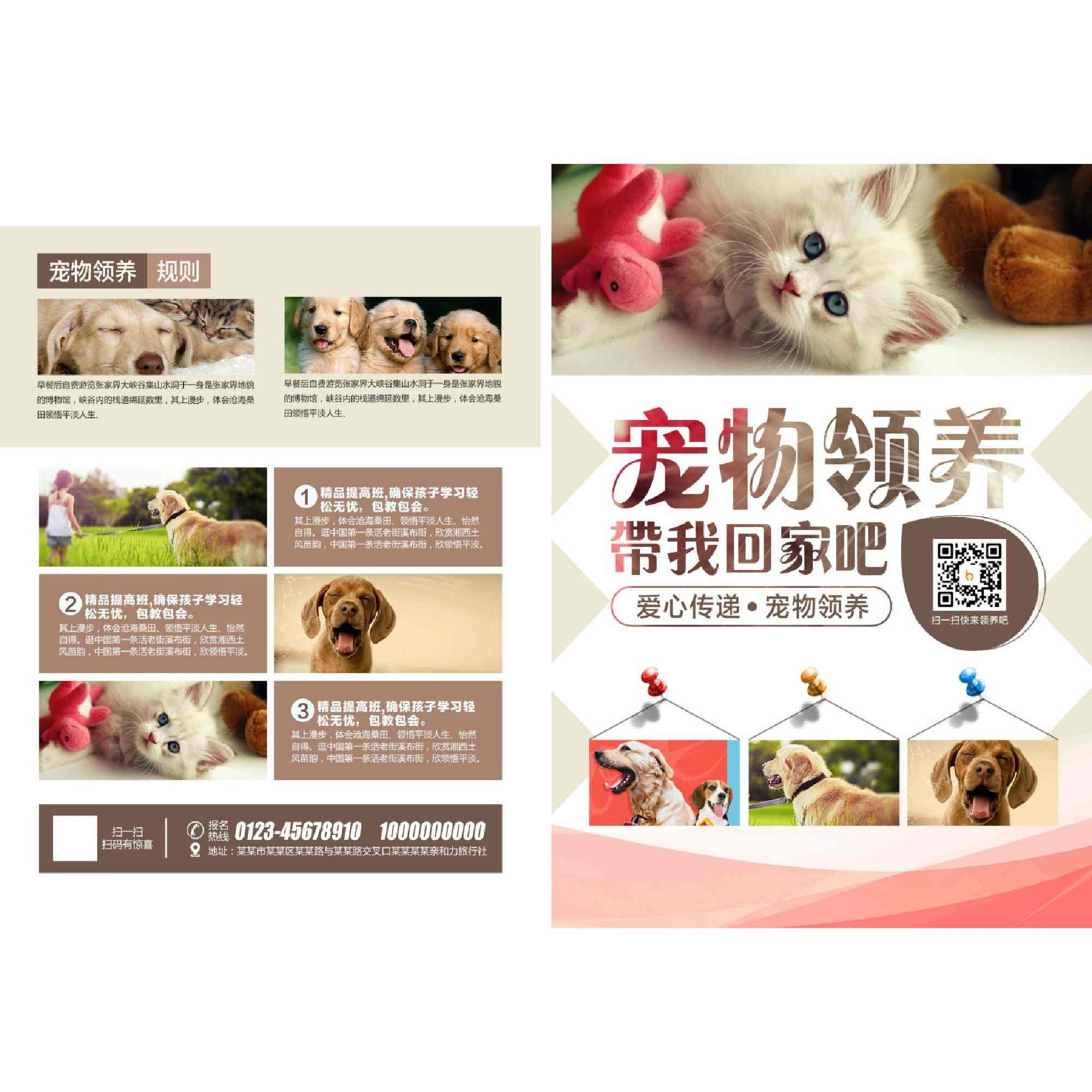宠物领养DM宣传单页