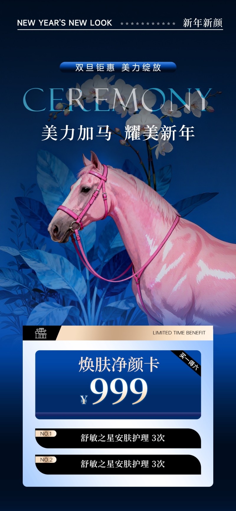 美业医美VIP充值卡项海报易拉宝