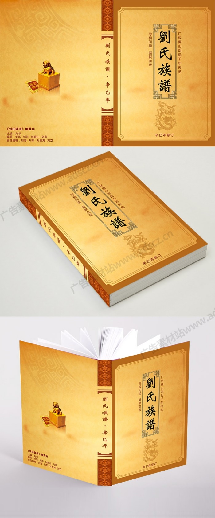 家谱族谱画册封面 (10)