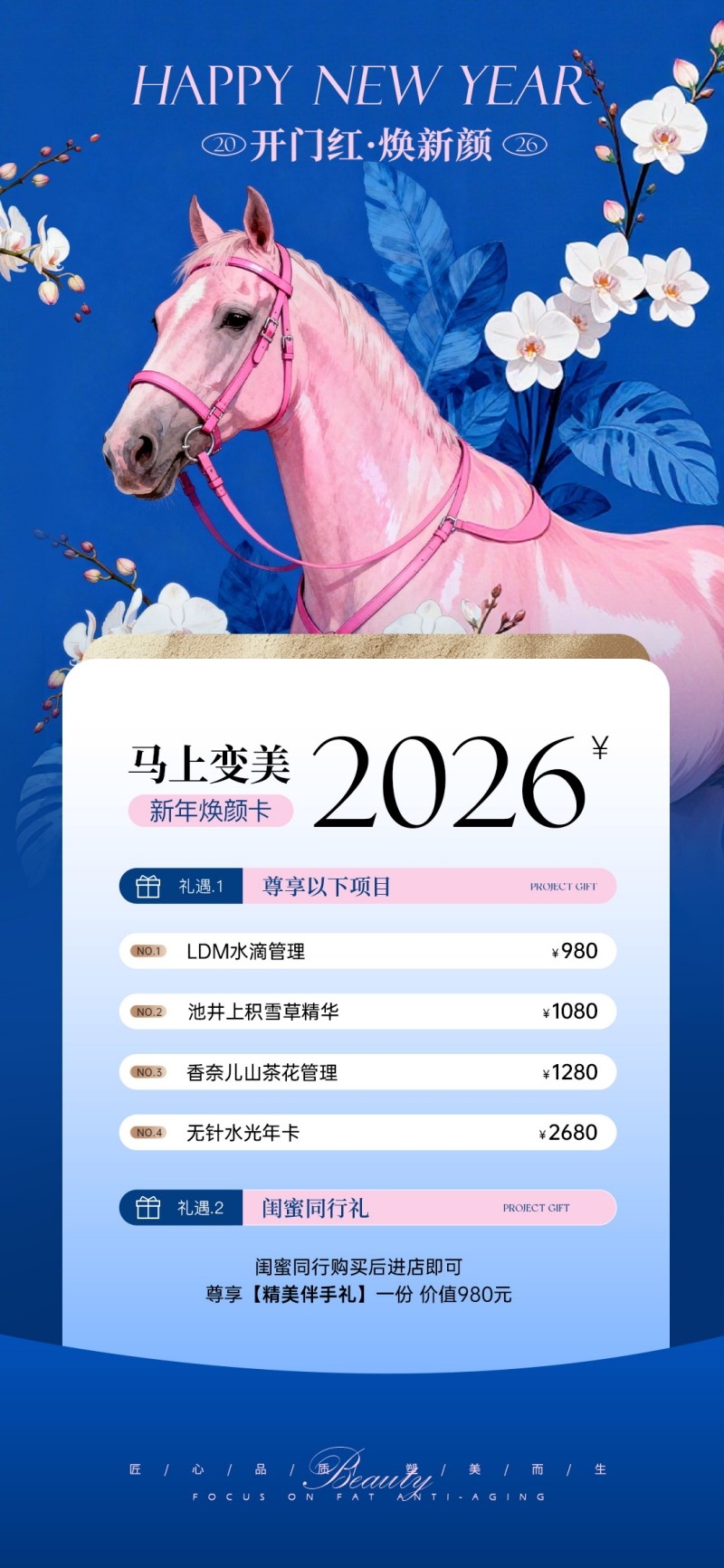 美业医美VIP充值卡项海报易拉宝 (8)