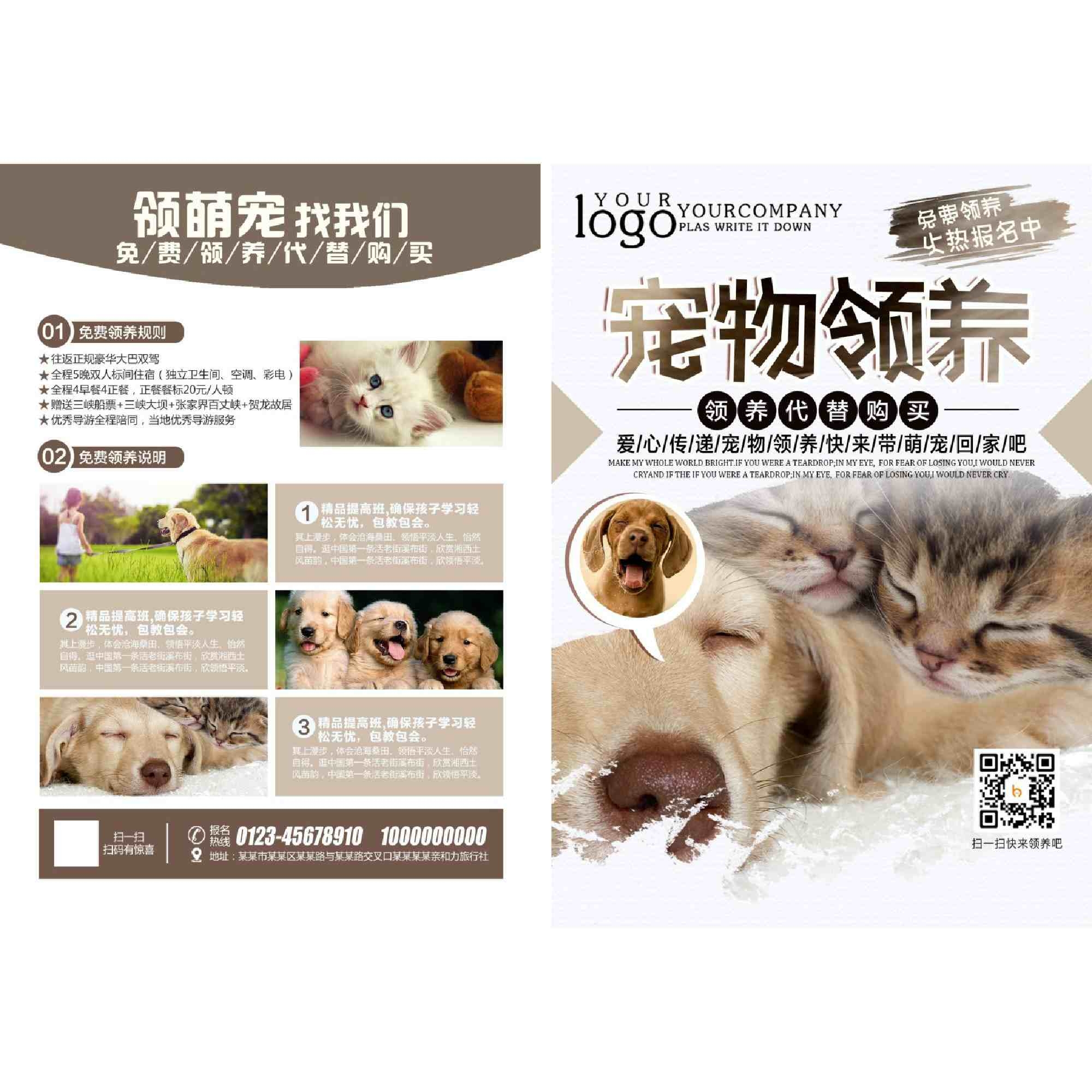 宠物店促销DM宣传单页
