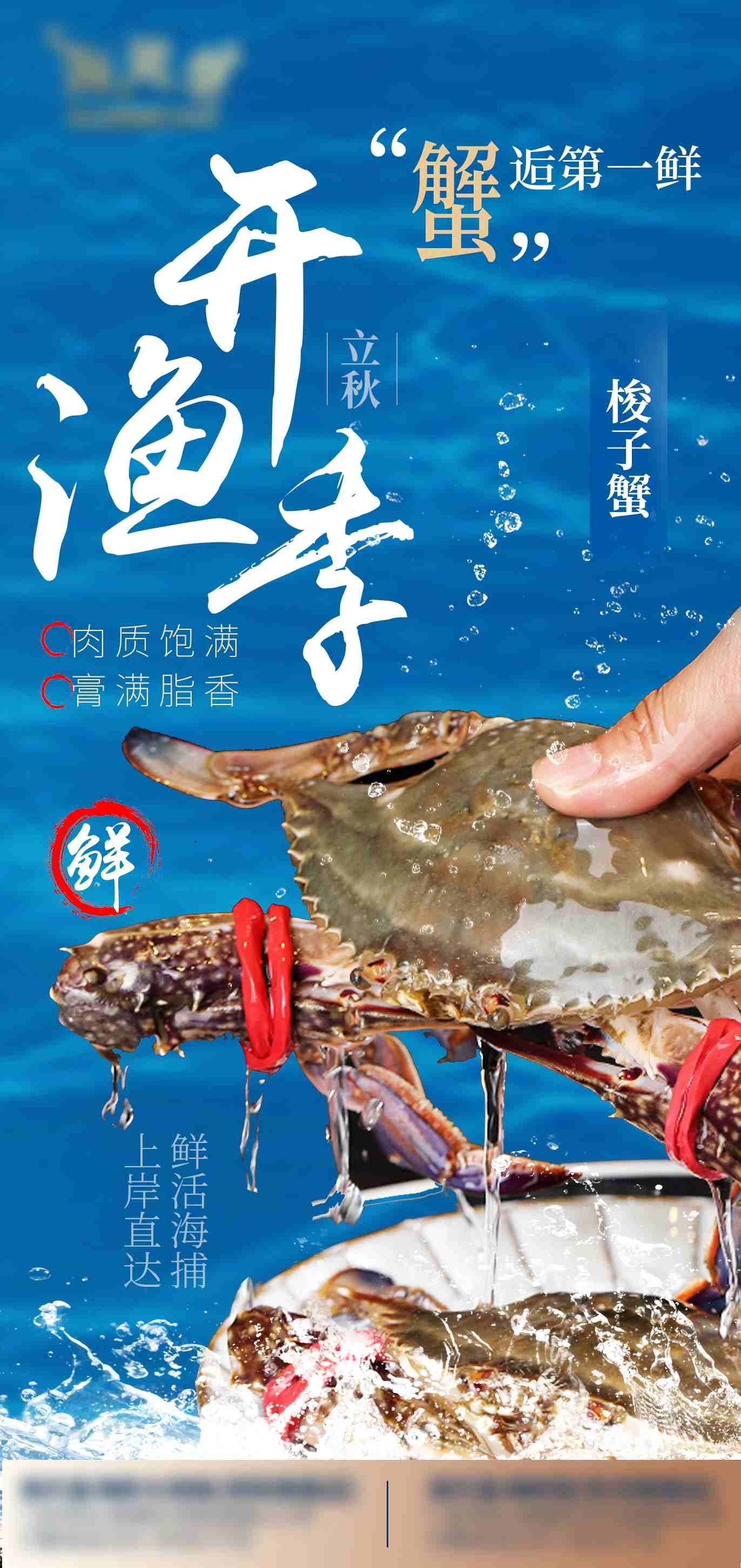 开渔季海鲜市场梭子蟹宣传海报展架易拉宝