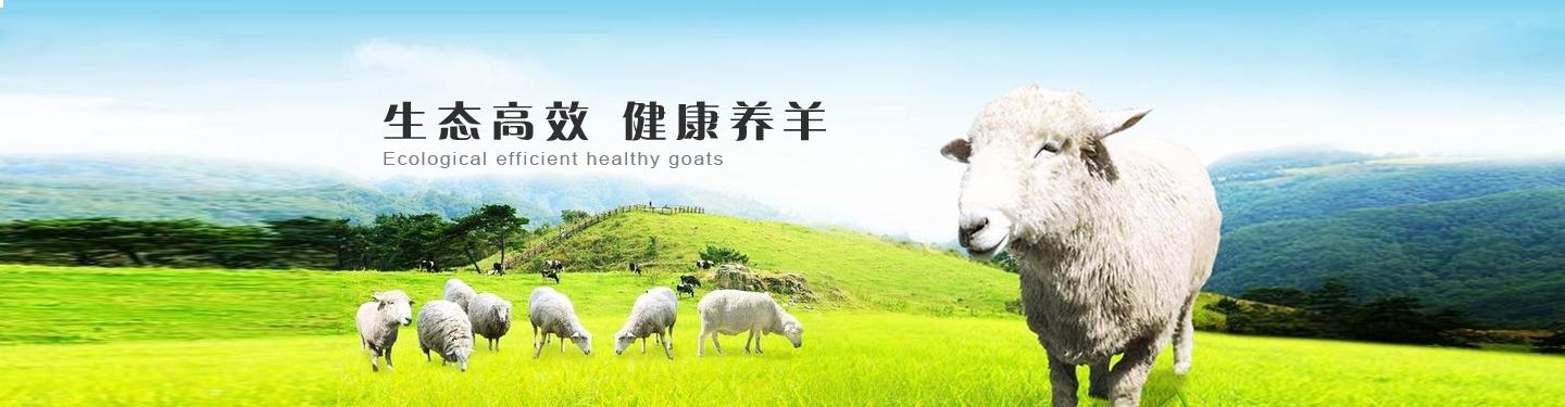 生态高效健康养羊公司企业文化设计