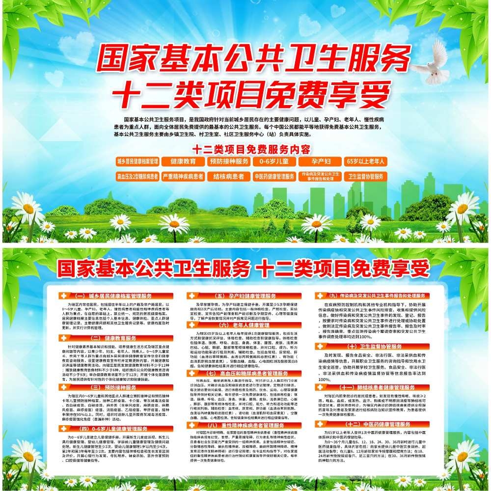 国家基本公共卫生服务十二类项目免费享受展板宣传栏 (2)