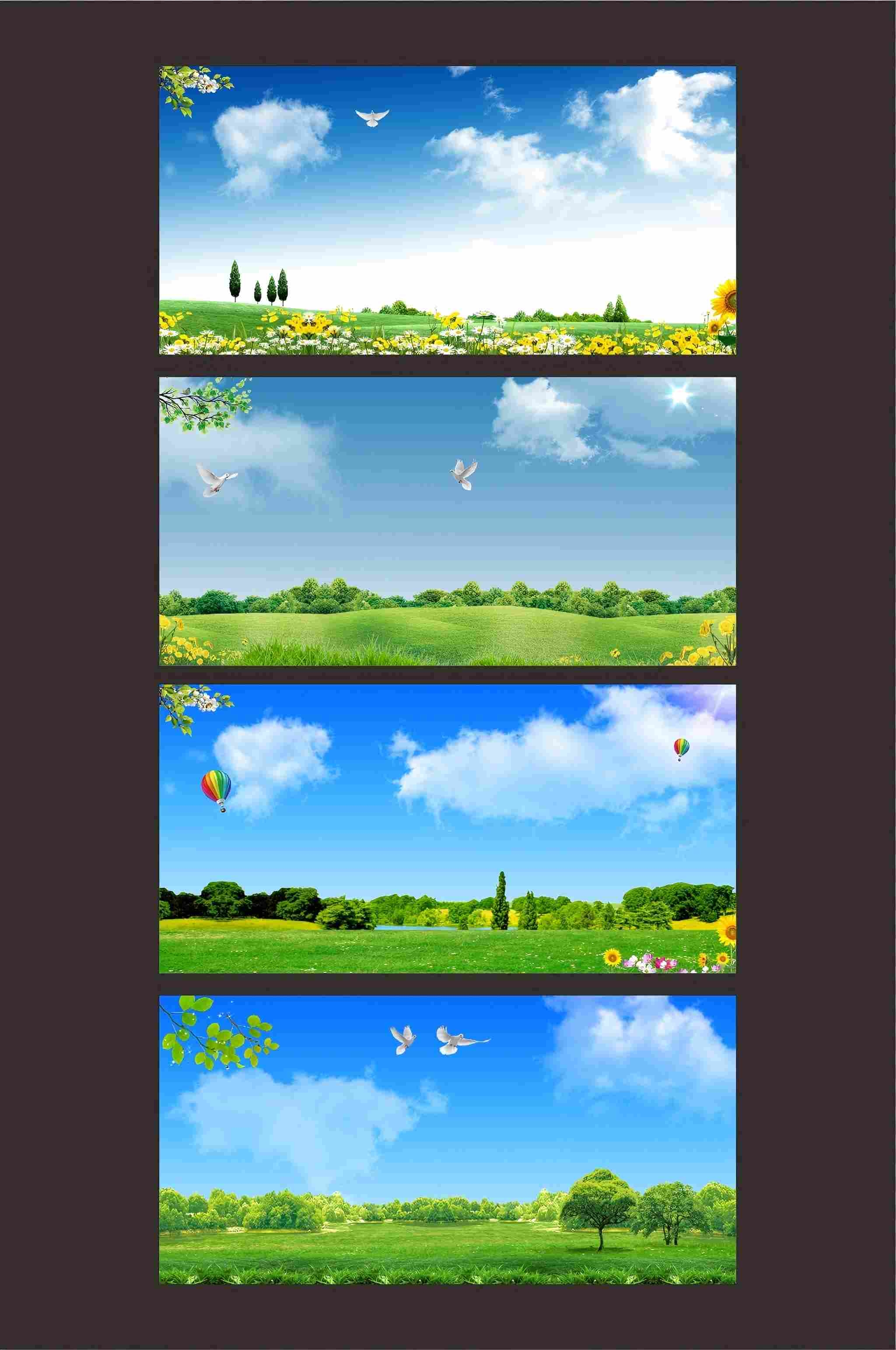 中国蓝天白云草地背景图