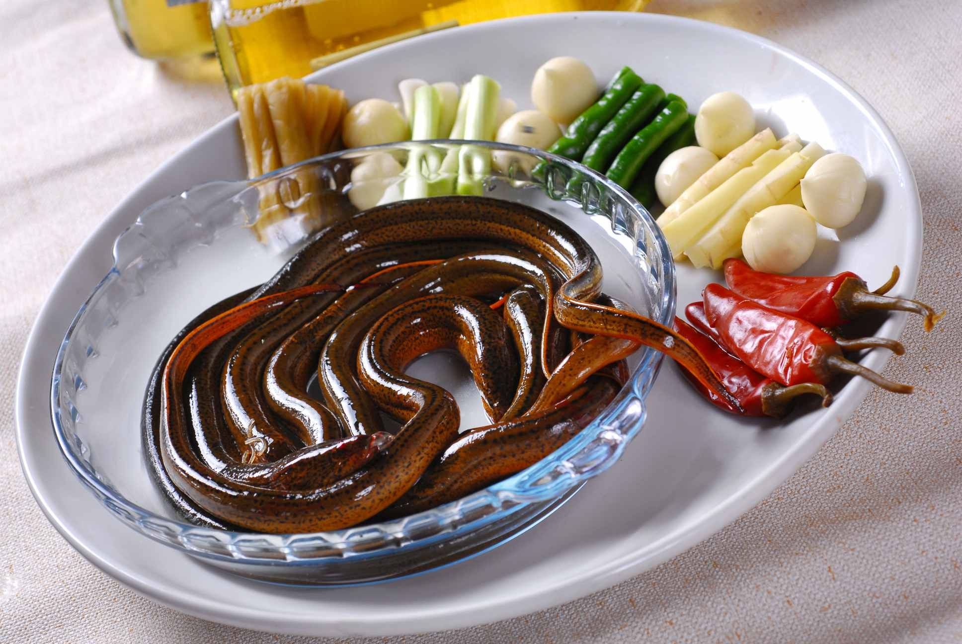 蜀江鳝丝家常鳝鱼高清图片