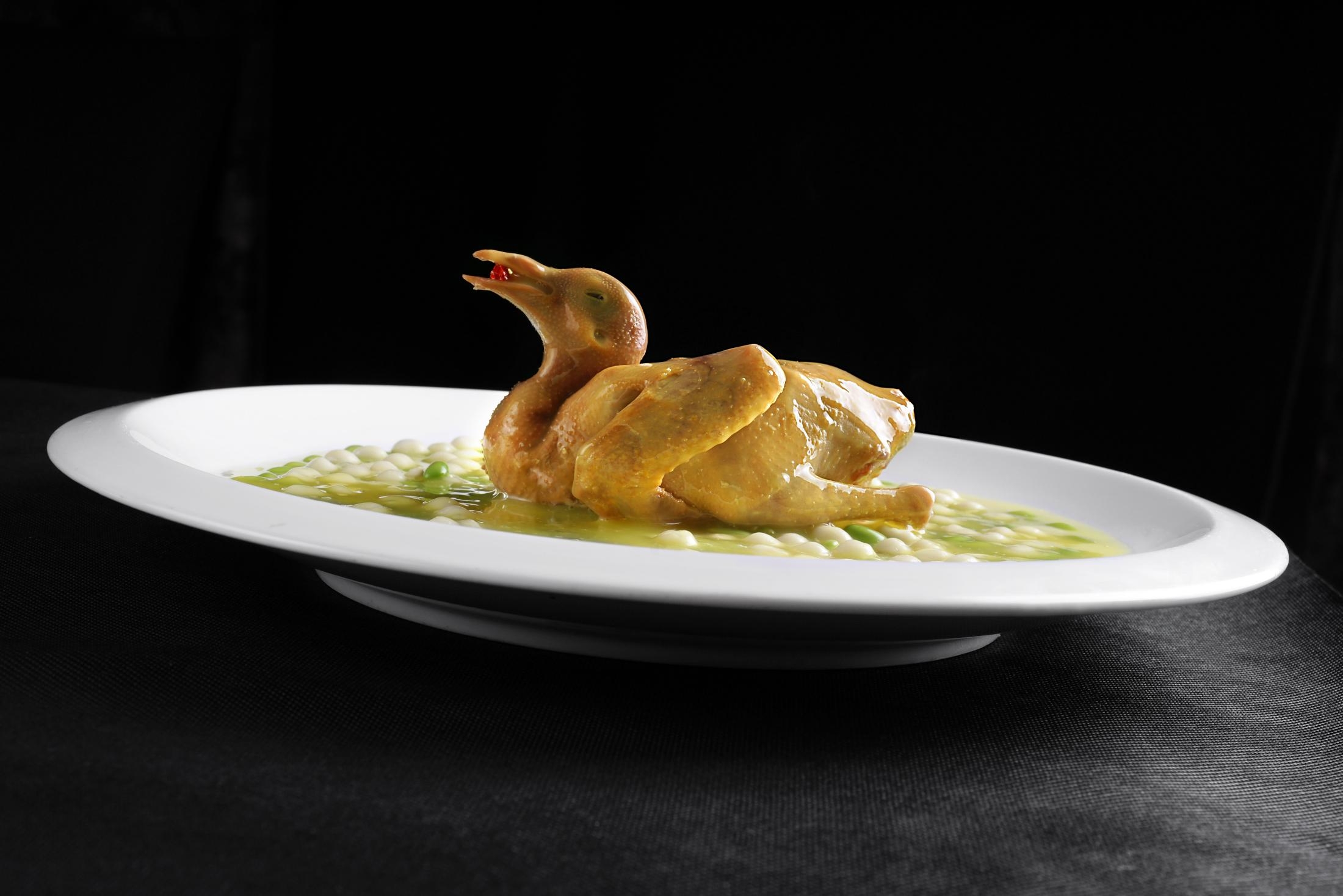 餐饮美食珍珠乳鸽宣传图片灯箱