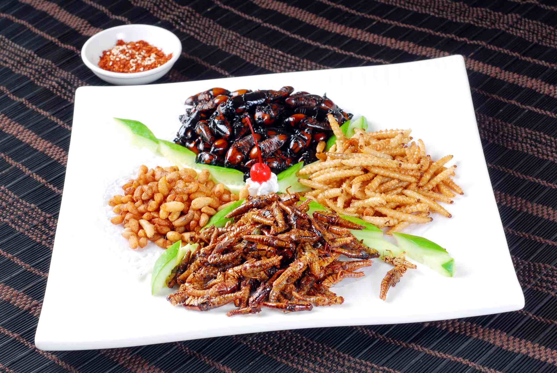 餐饮美食川菜营养昆虫拼高清图片970
