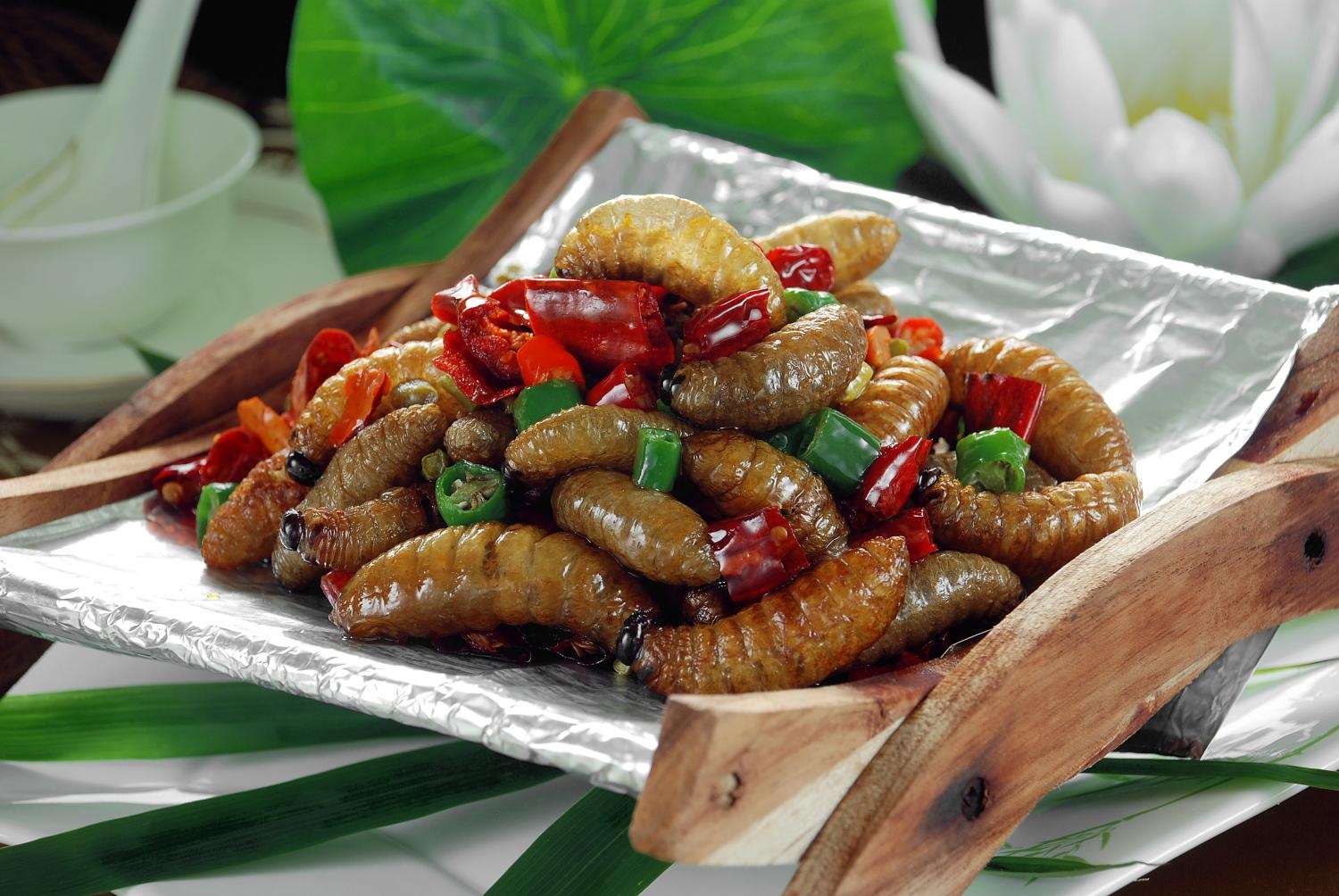 餐饮美食川菜泡豇豆煸竹蛹高清图片