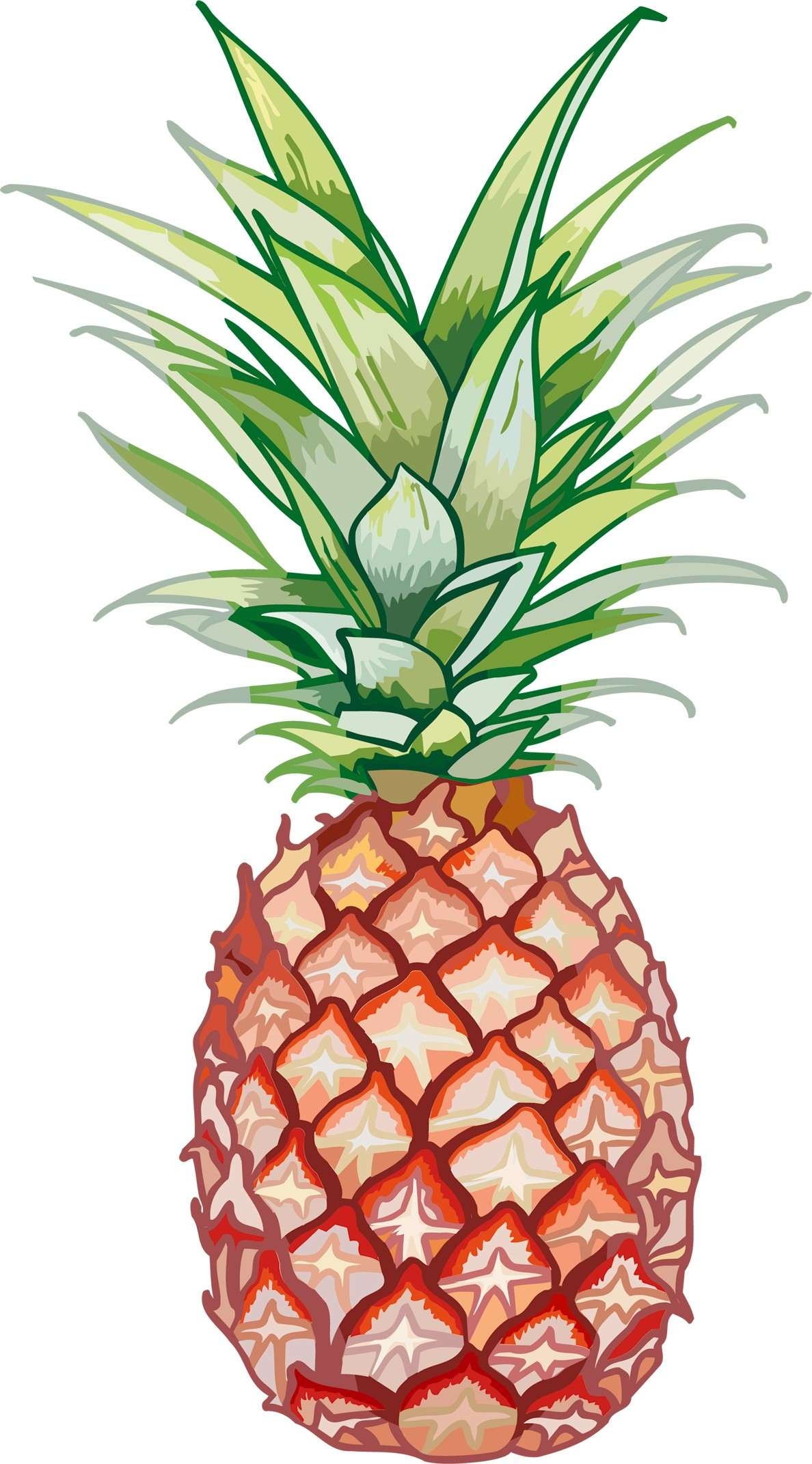 卡通凤梨卡通菠萝免抠透明素材设计图 (19)