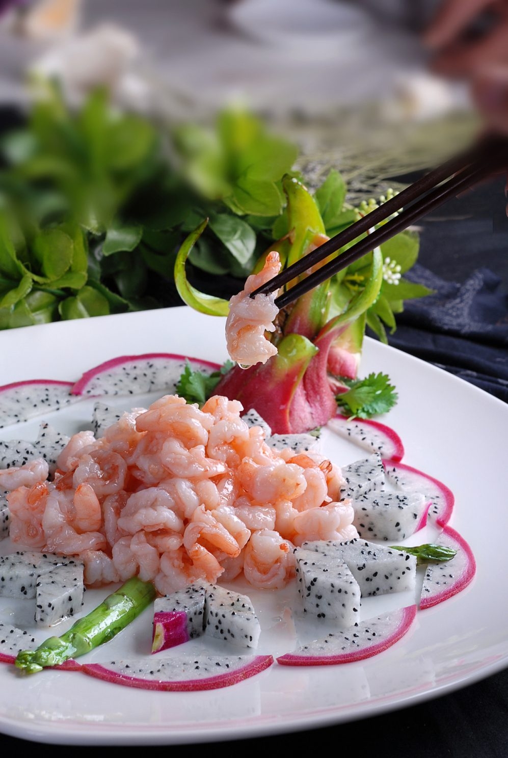 餐饮美食火龙养颜虾宣传图片灯箱