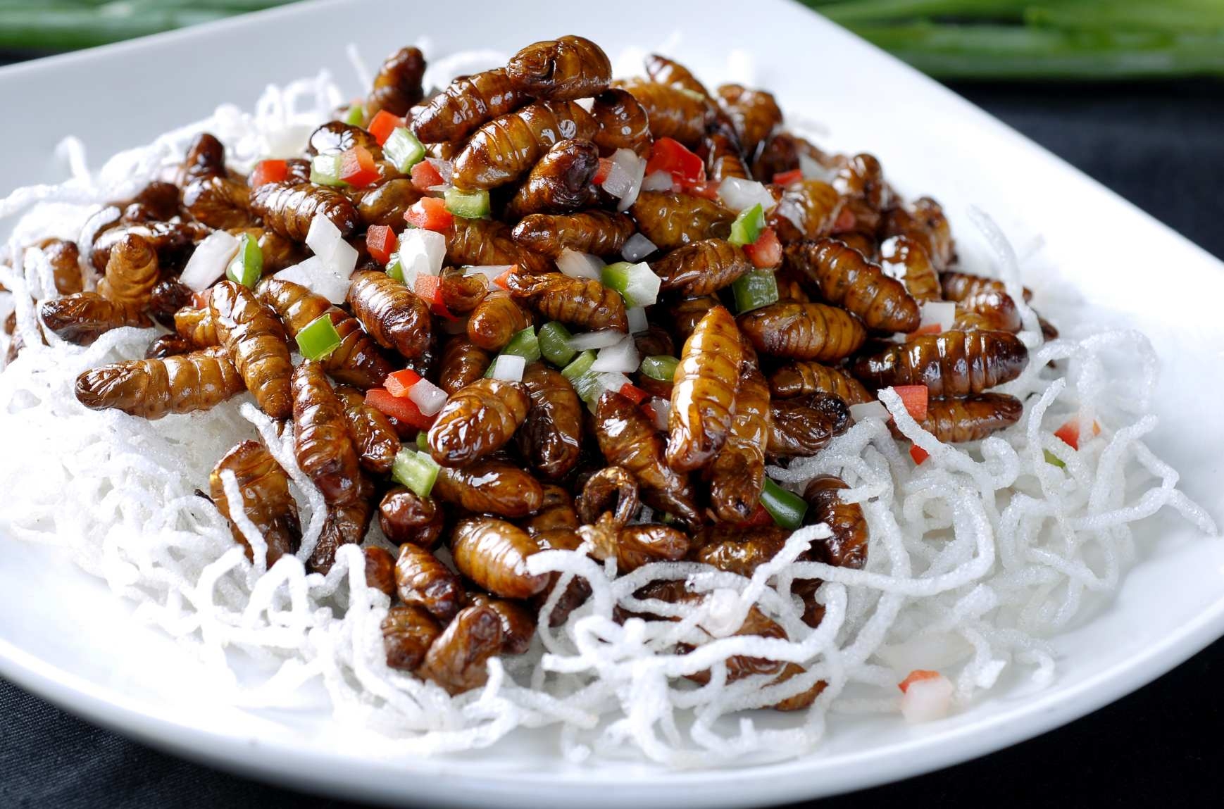 高清图片餐饮美食川菜椒盐蚕蛹高清图片317